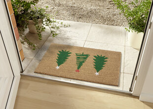 Hanse Home Mix Mats Cocos kynnysmatto 45x75 cm hinta ja tiedot | Ovimatot | hobbyhall.fi