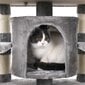 Kissan raapimispylväs 172 cm., vaaleanharmaa väri hinta ja tiedot | Raapimispuut ja kiipeilypuut | hobbyhall.fi