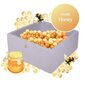 MeowBaby® Bestseller neliön muotoinen pallomeri palloilla - Honey 300kpl hinta ja tiedot | Vauvan lelut | hobbyhall.fi