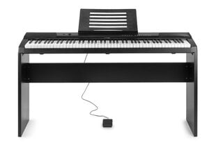Max KB6W Digital Piano 88-koskettimet huonekalutelineellä hinta ja tiedot | Kosketinsoittimet | hobbyhall.fi
