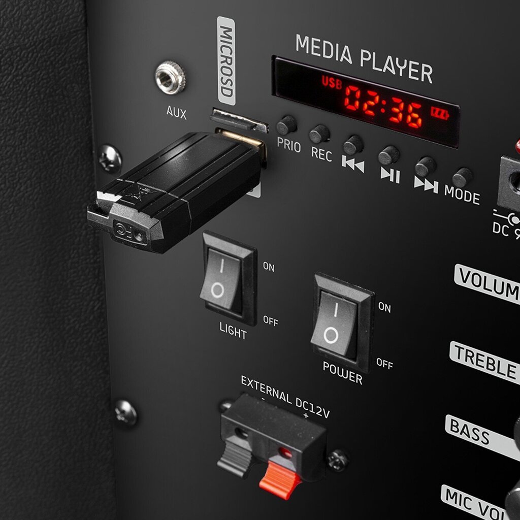 Fenton FT208LED kannettava äänijärjestelmä 2x 8" hinta ja tiedot | Kaiuttimet | hobbyhall.fi