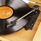 Fenton Memphis Vintage levysoitin Vaalea Puu hinta ja tiedot | Vinyylilevysoittimet ja gramofonit | hobbyhall.fi