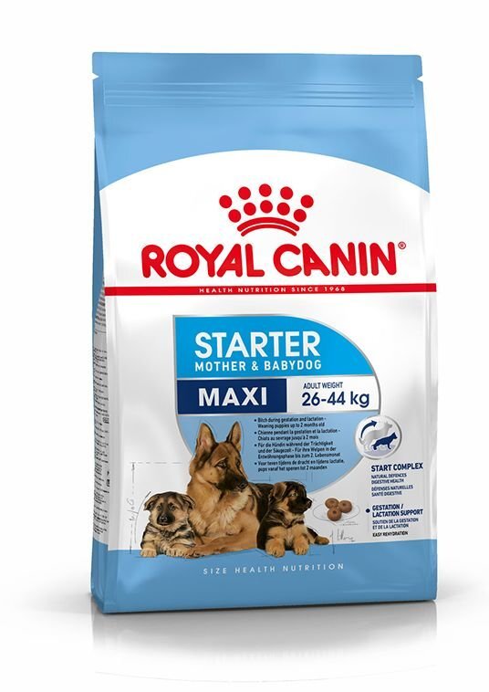 Kuivaruoka imettäville nartuille tai pennuille Royal Canin Maxi Starter Mother & Babydog, 15 kg hinta ja tiedot | Koiran kuivaruoka | hobbyhall.fi