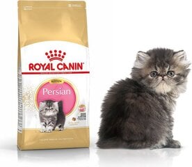 Kissanruoka persialaisille kissanpennuille Royal Canin, 2 kg hinta ja tiedot | Kissan kuivaruoka | hobbyhall.fi