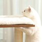 Kissan raapimispylväs 88 cm., ruskea väri hinta ja tiedot | Raapimispuut ja kiipeilypuut | hobbyhall.fi