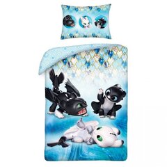 Lasten pussilakanasetti Dragon, 100x135 cm, 2 kpl hinta ja tiedot | Vuodevaatteet lapsille | hobbyhall.fi