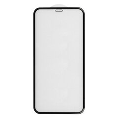 Suojalasi Hard 5D - iPhone 12 MINI hinta ja tiedot | Näytönsuojakalvot ja -lasit | hobbyhall.fi