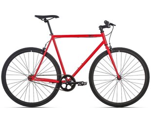 Fixie pyörä 6KU Cayenne - L hinta ja tiedot | Polkupyörät | hobbyhall.fi