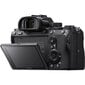 Sony Alpha A7 III Body hinta ja tiedot | Kamerat | hobbyhall.fi