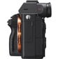 Sony Alpha A7 III Body hinta ja tiedot | Kamerat | hobbyhall.fi