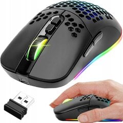 Langaton pelihiiri RGB (Bluetooth 2,4 GHz) kaina ir informacija | Hiiret | hobbyhall.fi