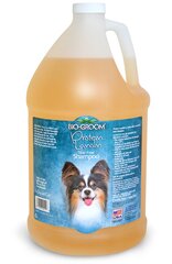 Bio Groom Protein/Lanolin, shampoo 3.8 ml hinta ja tiedot | Bio Groom Lemmikit | hobbyhall.fi