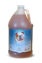 Bio Groom Natural Oatmeal shampoo lemmikille, 3.8 ml hinta ja tiedot | Shampoot ja hoitoaineet lemmikeille | hobbyhall.fi
