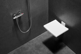 Besco Active istuin suihkuun hinta ja tiedot | Kylpyhuonetarvikkeet | hobbyhall.fi