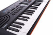 Casio SA-76 kosketinsoitin hinta ja tiedot | Kosketinsoittimet | hobbyhall.fi