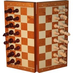 Magneettinen shakkilauta nro 4 hinta ja tiedot | Lautapelit ja älypelit | hobbyhall.fi