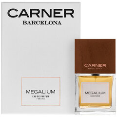 Custo Barcelona Megalium EDP 100 ml hinta ja tiedot | Naisten hajuvedet | hobbyhall.fi