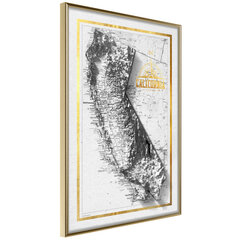 Juliste Raised Relief Map: Kalifornia, kultainen kehys hinta ja tiedot | Taulut | hobbyhall.fi