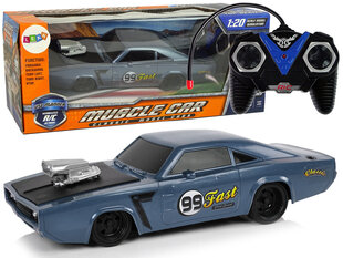 Kauko-ohjattava urheilullinen Muscle Car auto 1:20, harmaa hinta ja tiedot | Poikien lelut | hobbyhall.fi