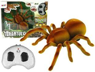 Hämähäkki Tarantula kaukosäätimellä hinta ja tiedot | Poikien lelut | hobbyhall.fi