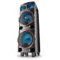 NGS WildDUB1 300W hinta ja tiedot | Kaiuttimet | hobbyhall.fi