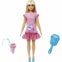 Barbie®-nukke hinta ja tiedot | Tyttöjen lelut | hobbyhall.fi