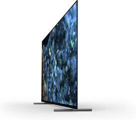 Sony Google TV OLED XR65A80LAEP hinta ja tiedot | Televisiot | hobbyhall.fi