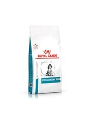 Royal Canin Hypoallergenic Puppy hypoallergeenisille pennuille, 1,5 kg hinta ja tiedot | Koiran kuivaruoka | hobbyhall.fi