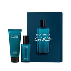 Davidoff Cool Water Man: EDT miehille 40 ml + suihkugeeli 75 ml hinta ja tiedot | Davidoff Hajuvedet ja kosmetiikka | hobbyhall.fi