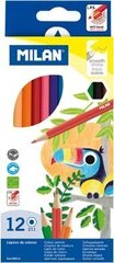 Värikynät Milan 211-Color hinta ja tiedot | Milan Hauskat lahjat | hobbyhall.fi
