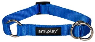 Puolikiristävä kaulapanta Amiplay Basic, XL, sininen hinta ja tiedot | Koiran valjaat ja kaulapannat | hobbyhall.fi