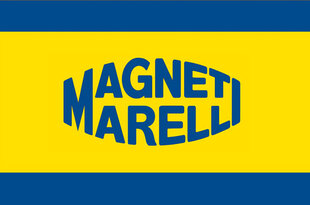 MAGNETI MARELLI D2S, Auton ksenonpolttimo, 4600K hinta ja tiedot | Magneti Marelli DRL Autotuotteet | hobbyhall.fi