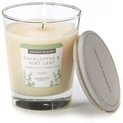 Tuoksukynttilä Candle-Lite Eucalyptus & Mint Leaf, 255 g hinta ja tiedot | Kynttilät ja kynttilänjalat | hobbyhall.fi