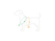 Säädettävät koiran valjaat Amiplay EASY GO Samba, S, oranssi hinta ja tiedot | Koiran valjaat ja kaulapannat | hobbyhall.fi