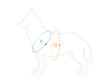 Säädettävät koiran valjaat Amiplay EASY GO Samba, L, harmaa hinta ja tiedot | Koiran valjaat ja kaulapannat | hobbyhall.fi