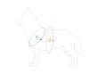 Säädettävät koiran valjaat Amiplay EASY GO Samba, L, vihreä hinta ja tiedot | Koiran valjaat ja kaulapannat | hobbyhall.fi