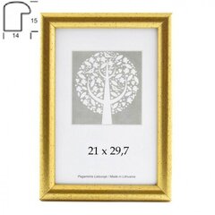 Valokuvakehys Aura 21x30 cm hinta ja tiedot | Valokuva-albumit -ja kehykset | hobbyhall.fi