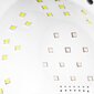 UV/LED kynsilamppu S1 Glow DUAL 168W White Rose hinta ja tiedot | Manikyyri ja pedikyyri | hobbyhall.fi