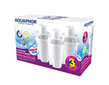 Aquaphor B100-15 Standard X3, 2 kpl sarjaa hinta ja tiedot | Veden suodatinkannut ja suodattimet | hobbyhall.fi