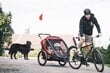 Hamax polkupyörän perävaunu ja lastenvaunu OUTBACK, 2 istuin punainen/musta hinta ja tiedot | Polkupyörän peräkärryt | hobbyhall.fi