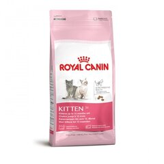Royal Canin Kitten, kissaruoka, 4 kg hinta ja tiedot | Kissan kuivaruoka | hobbyhall.fi