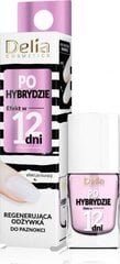 Elvyttävä seerumi kynsille After Hybrid Delia Cosmetics, 11ml hinta ja tiedot | Kynsilakat ja kynsienhoitotuotteet | hobbyhall.fi