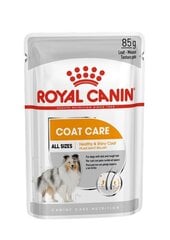 Royal Canin CCN Coat Care märkäruoka koirille, 12x85g. hinta ja tiedot | Koiran märkäruoka | hobbyhall.fi
