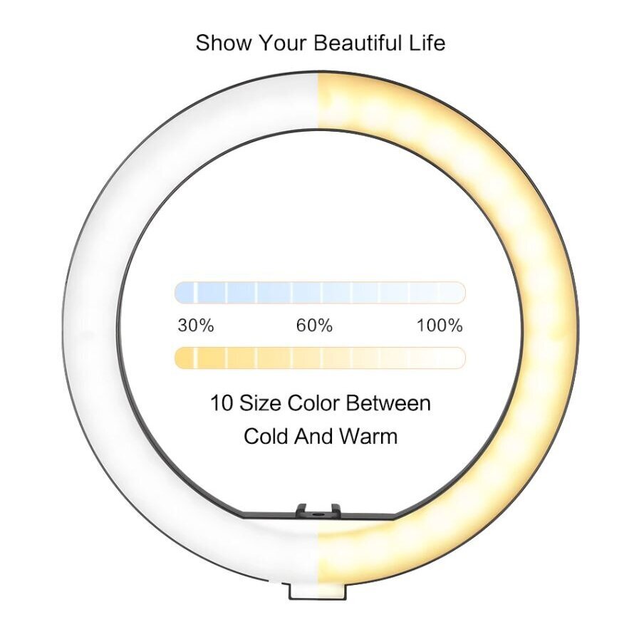 LED rengasvalo ohjaimella, 20 cm hinta ja tiedot | Valokuvaustarvikkeet | hobbyhall.fi