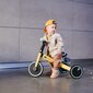 Kolmipyörä 3in1 Kinderkraft 4Trike, kultainen/sininen hinta ja tiedot | Kolmipyörät | hobbyhall.fi