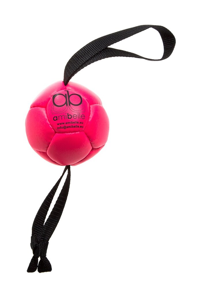 Amibelle pieni silikonitäytteinen pallo koirille, vaaleanpunainen 9 cm hinta ja tiedot | Koiran lelut | hobbyhall.fi