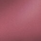 Huultenrajauskynä Isadora Perfect 1,2 g, 206 Velvet Rose hinta ja tiedot | Huulipunat, huulikiillot ja huulirasvat | hobbyhall.fi