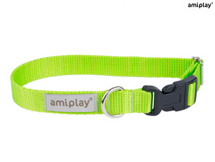 Amiplay säädettävä kaulapanta Samba, XL, harmaa. hinta ja tiedot | Koiran valjaat ja kaulapannat | hobbyhall.fi