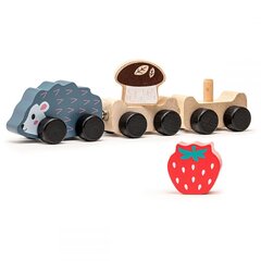 Puinen juna siili hinta ja tiedot | Cubika Lapset | hobbyhall.fi