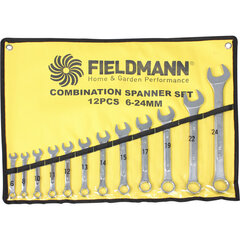 Avainsarja Fieldmann FDN 1010, 12 osaa hinta ja tiedot | Käsityökalut | hobbyhall.fi